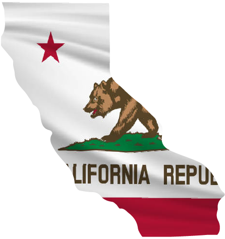 Staff Augmentation Service in California 